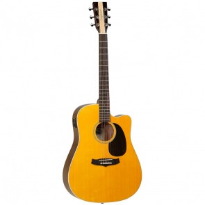 Tanglewood TN 5 DC E